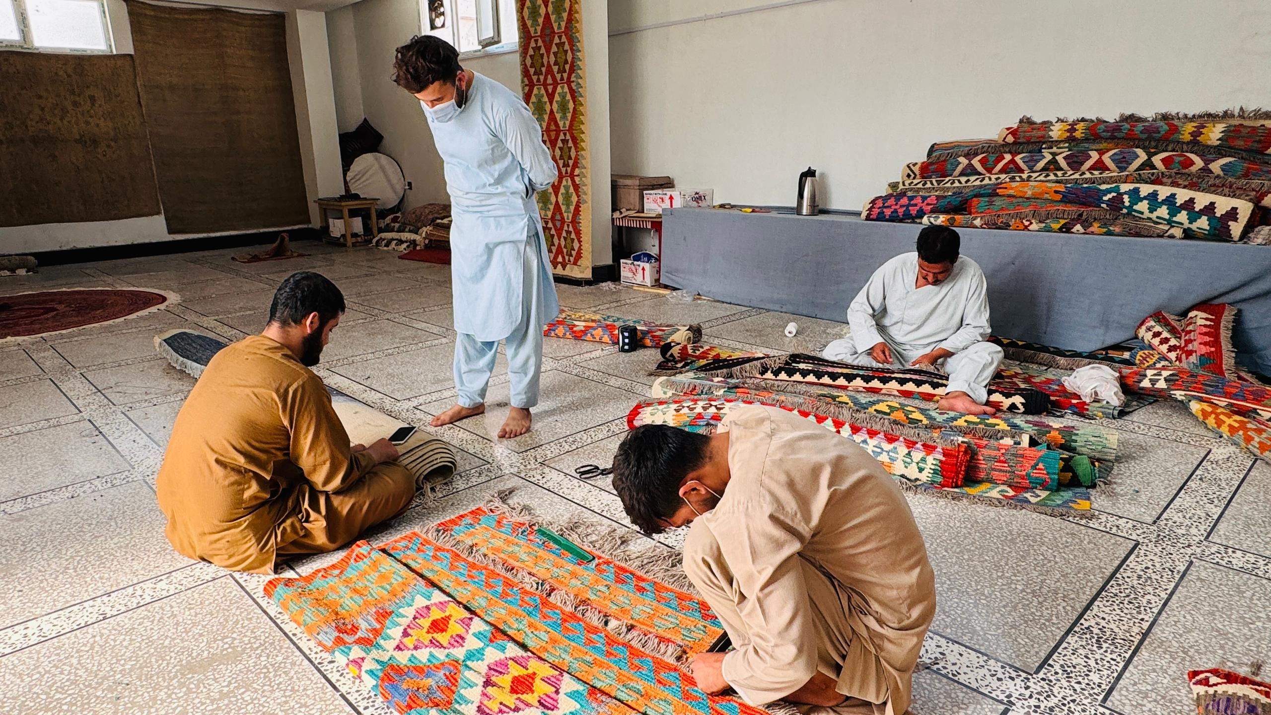 Innovative Carpet Collection Development