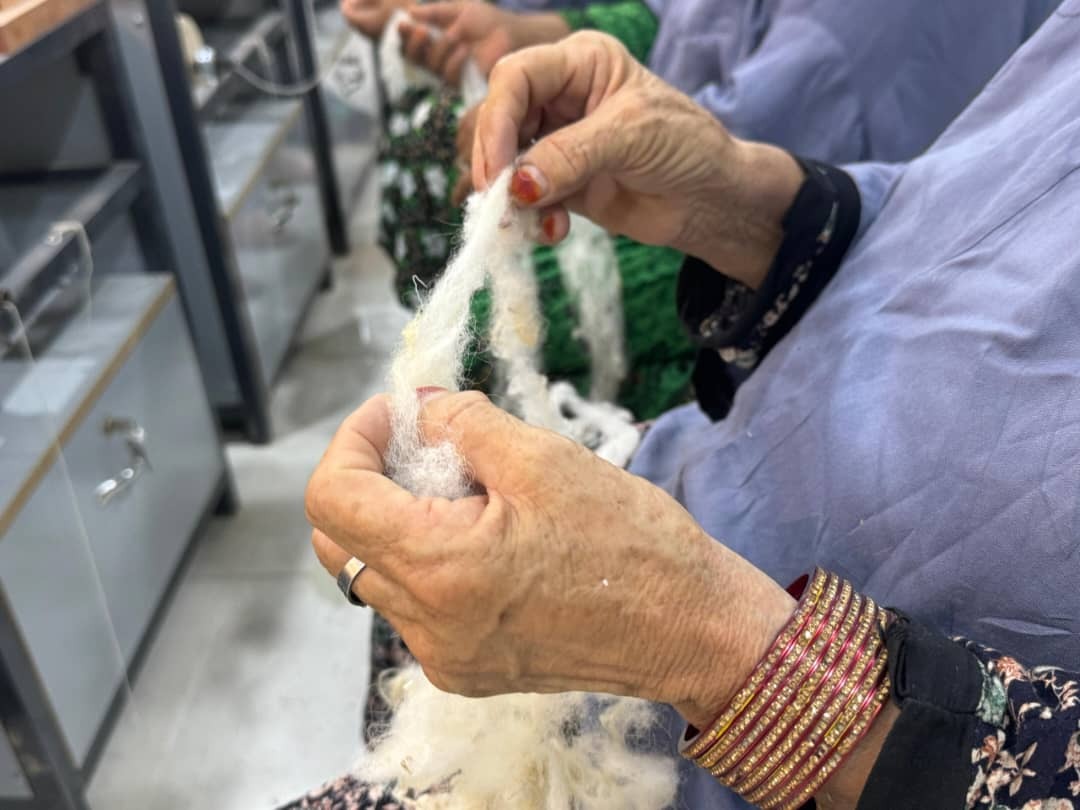 Sustainable Wool Collection & Women Empowerment