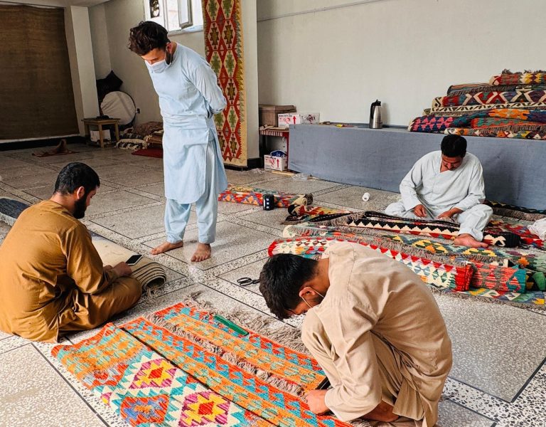 Innovative Carpet Collection Development