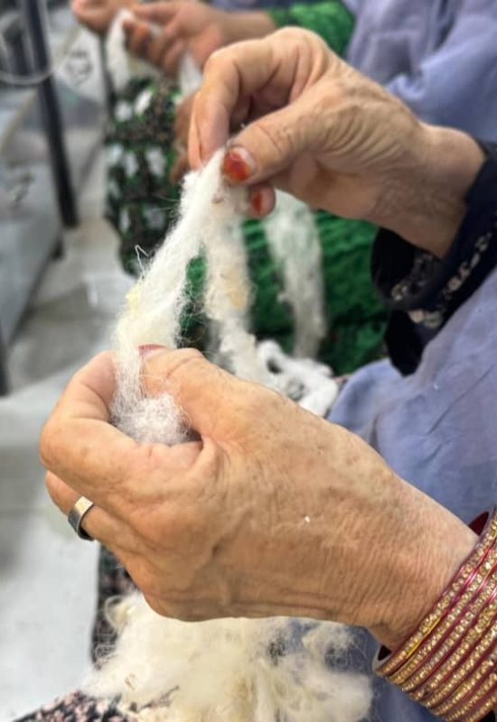 Sustainable Wool Collection & Women Empowerment