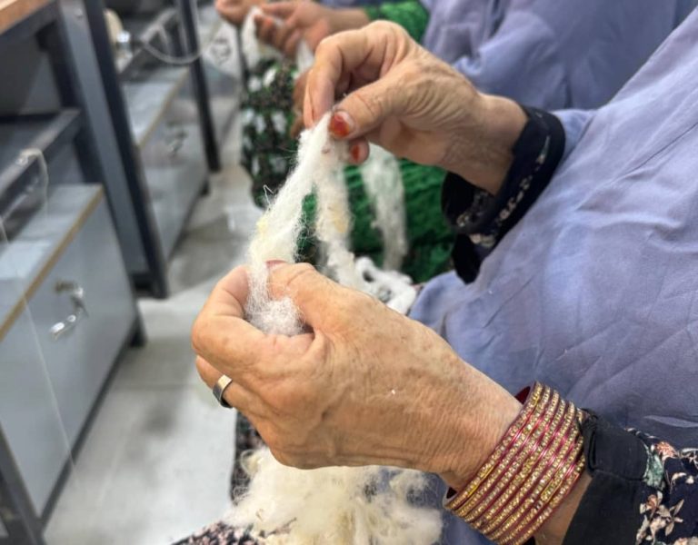 Sustainable Wool Collection & Women Empowerment